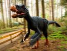Utahraptor Bewegung web