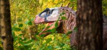 YAN-Dinopark2 1323